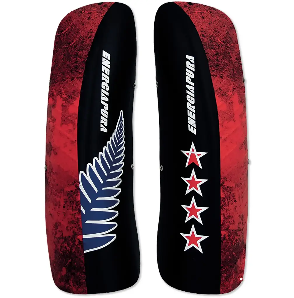 SHINGUARD ROBINSON JR