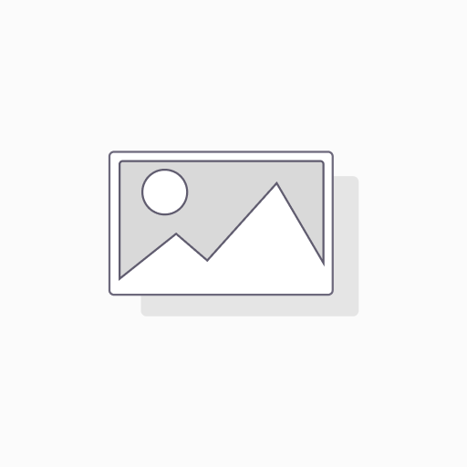FP 501 SIMPLE TRANSPARENT S0