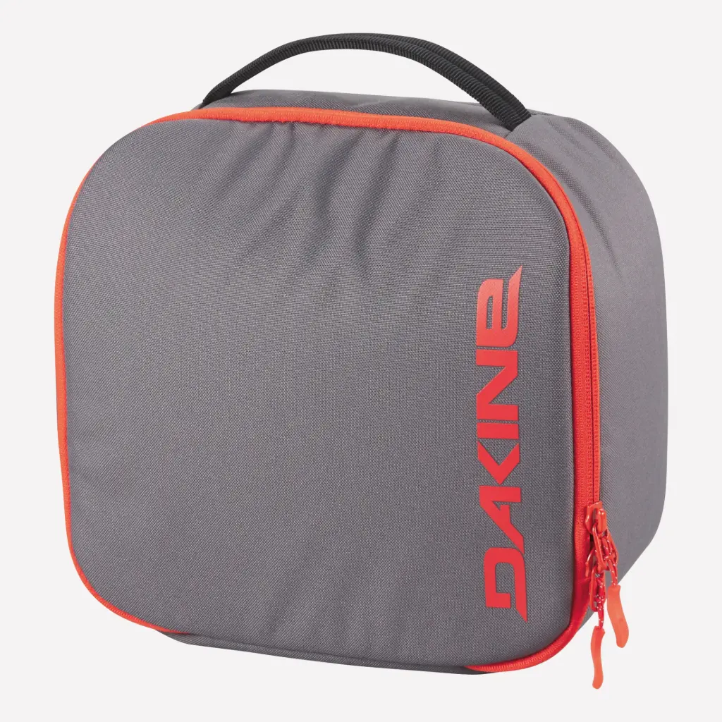 [10003827- STEEL] GOGGLE CASE STEEL