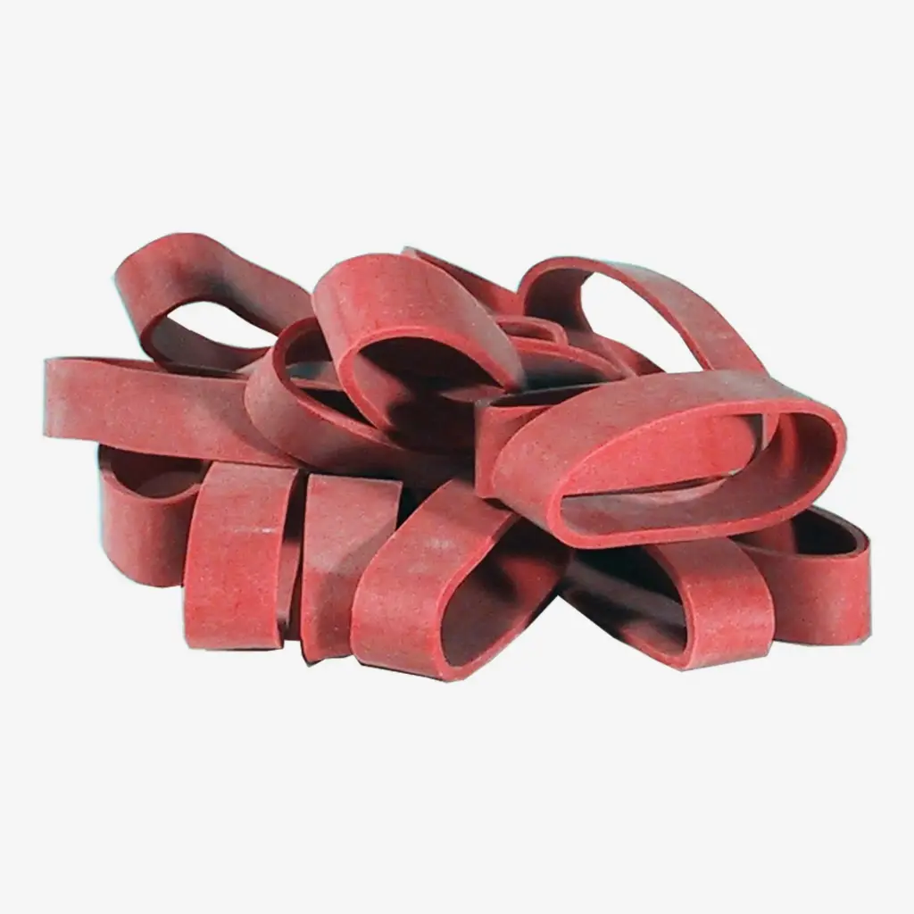 ELASTIQUES POUR FREIN X 20