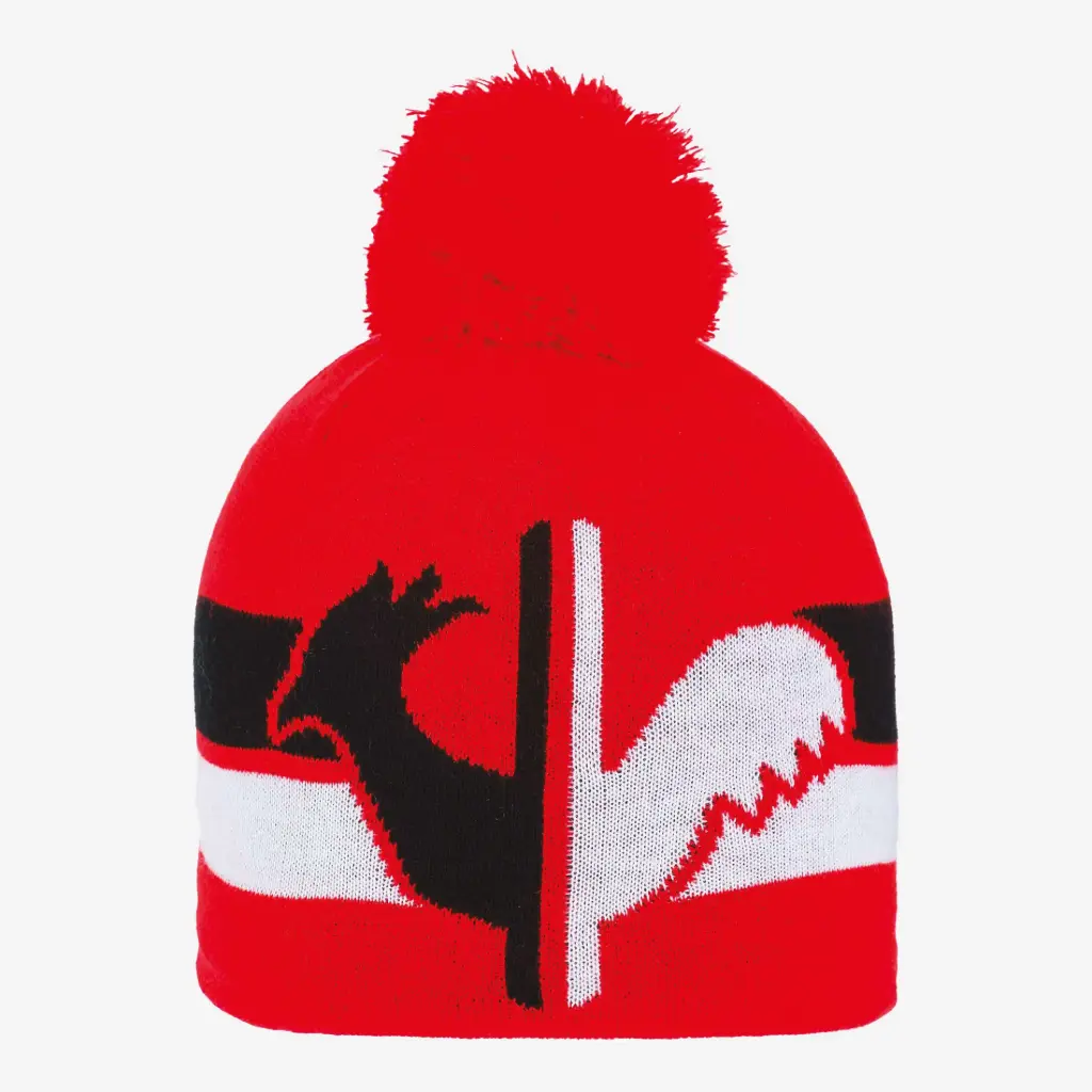 [RLHYH09-304] JR ROOSTER